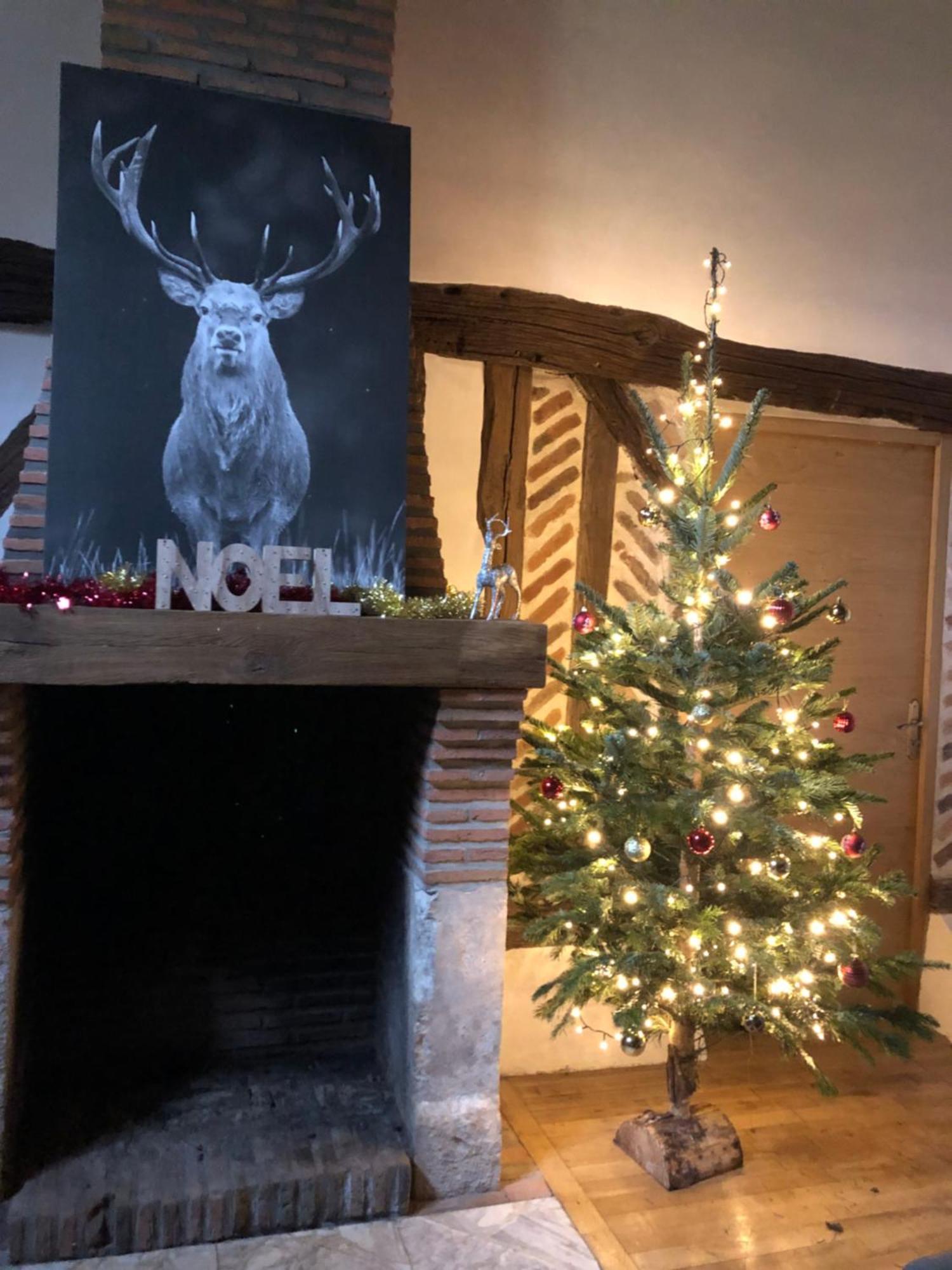 Gite Les Cerfs Bracieux Exteriör bild